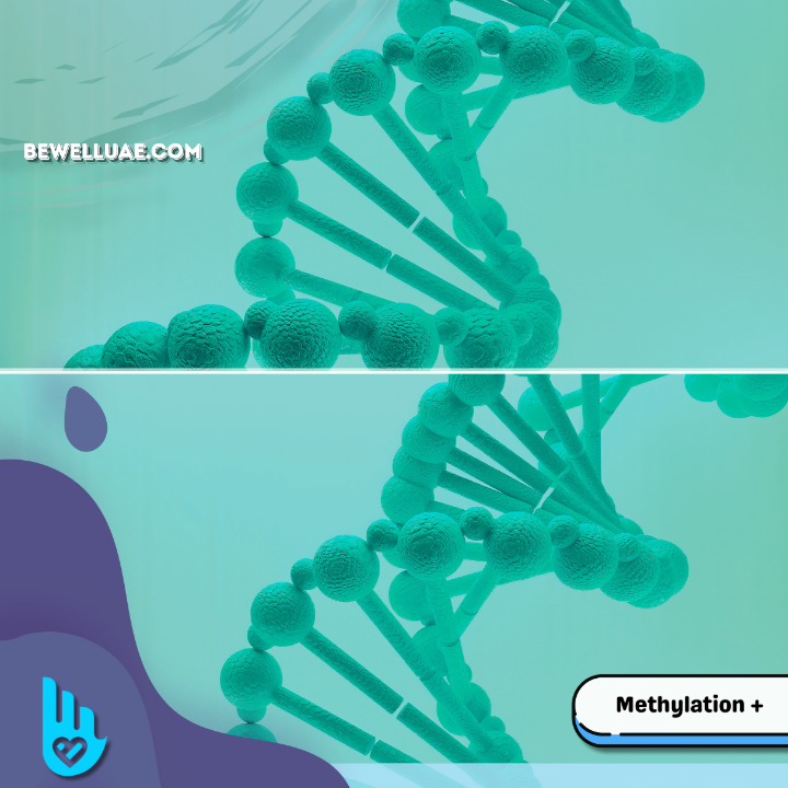 Methylation Advanced